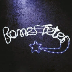 Déco Lumineuse Bonnes Fêtes 100 LED Blanc Froid