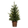 Sapin En Pot 70 Cm Artificiel Vert Helsinki 1 Sapin En Pot 70 Cm Artificiel Vert Helsinki -Mobilier Soldes sapin en pot 70 cm artificiel vert helsinki